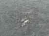 HPIM1796.JPG - 2007:01:27 14:38:04