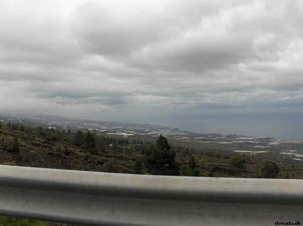 * Image 42