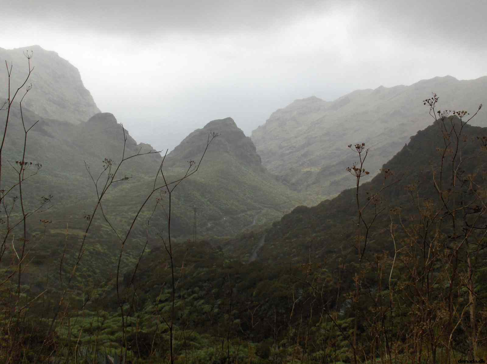 * Image 33