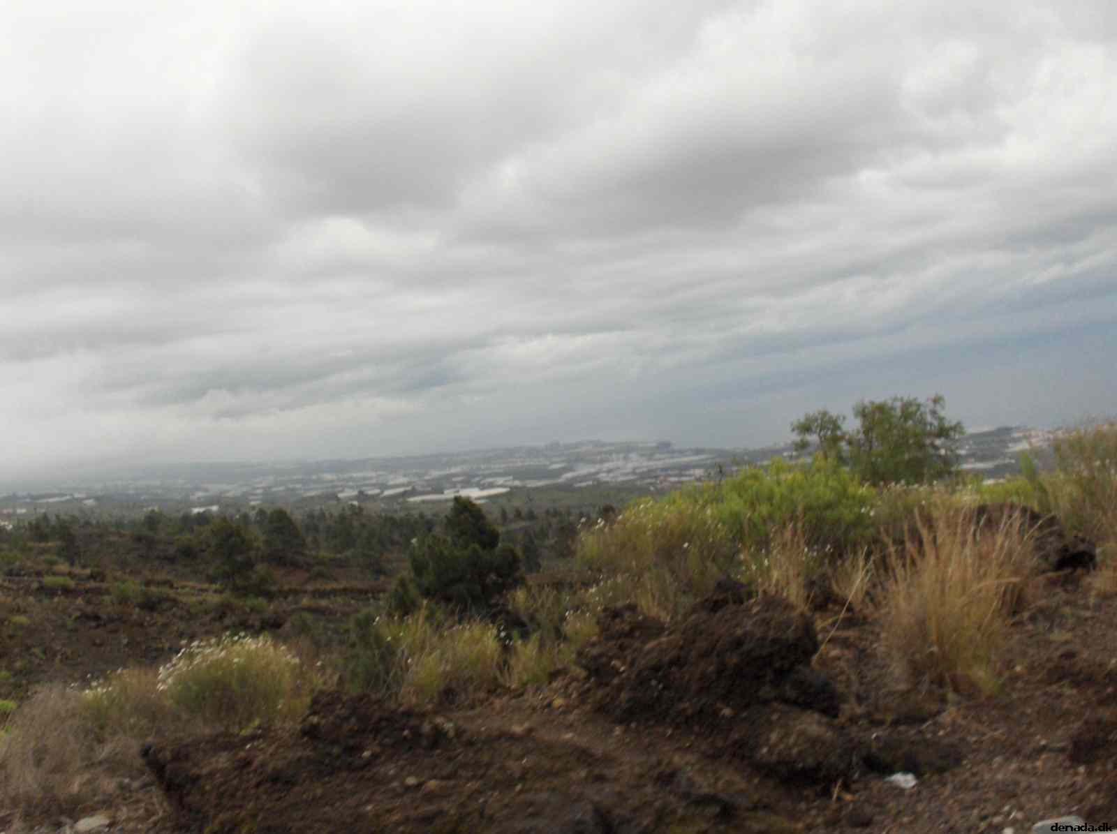 * Image 41