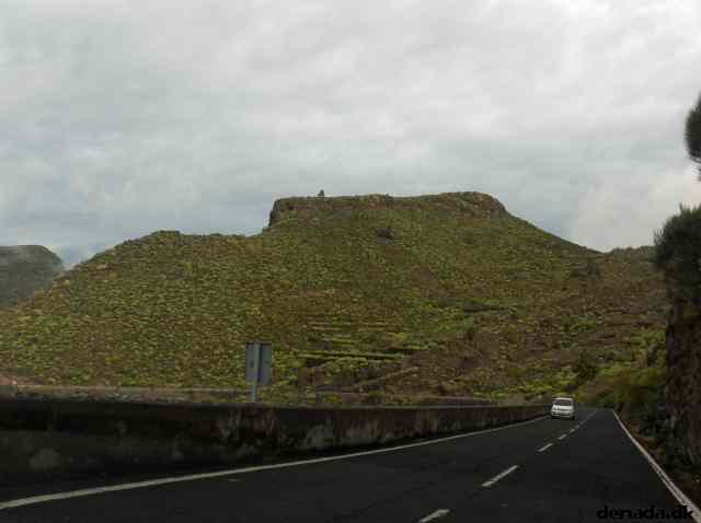 * Image 7