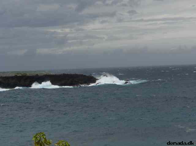 * Image 22