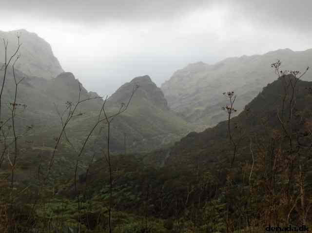 * Image 33