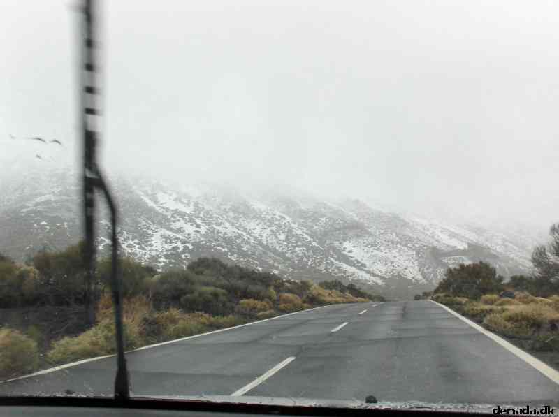* Image 46