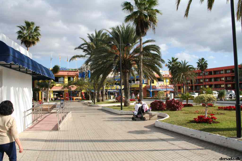* Image 10