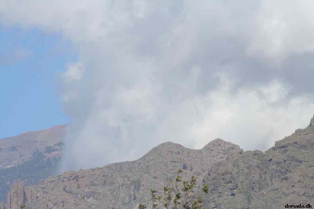 * Image 35