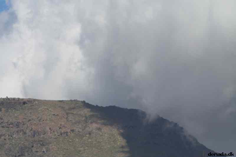 * Image 41