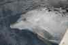 Tenerife_568.jpg - 2007:01:26 17:55:55