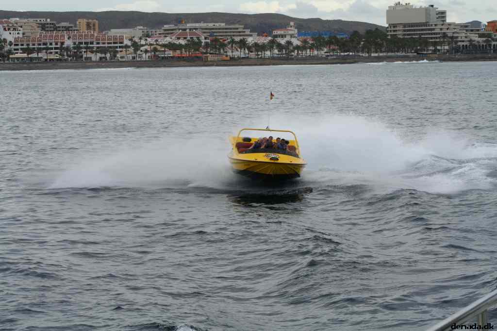 * Image 80