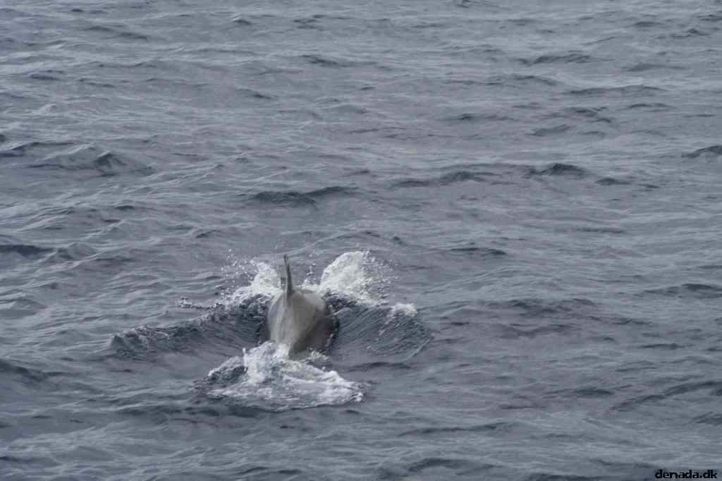 * Image 88