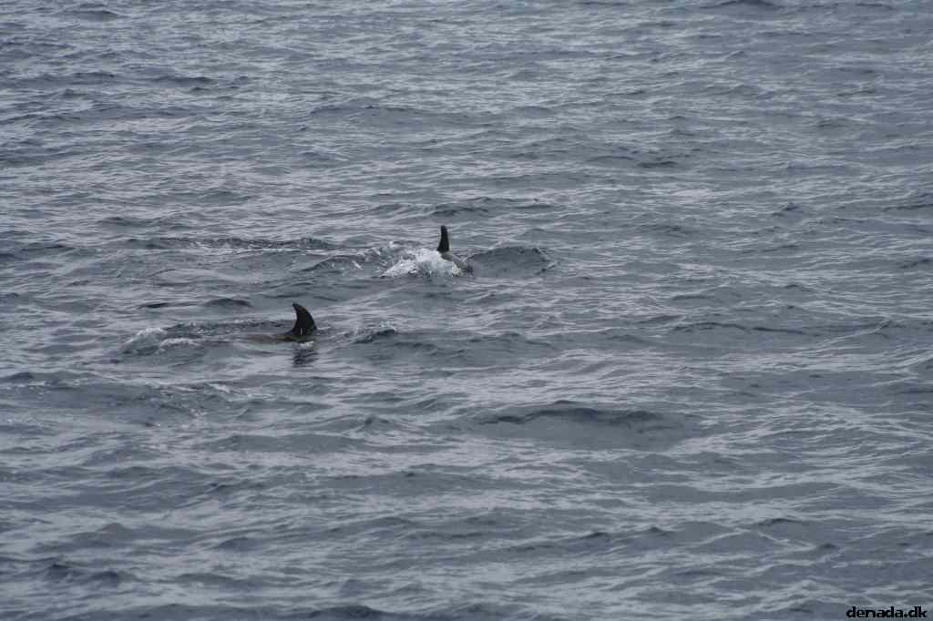 * Image 96
