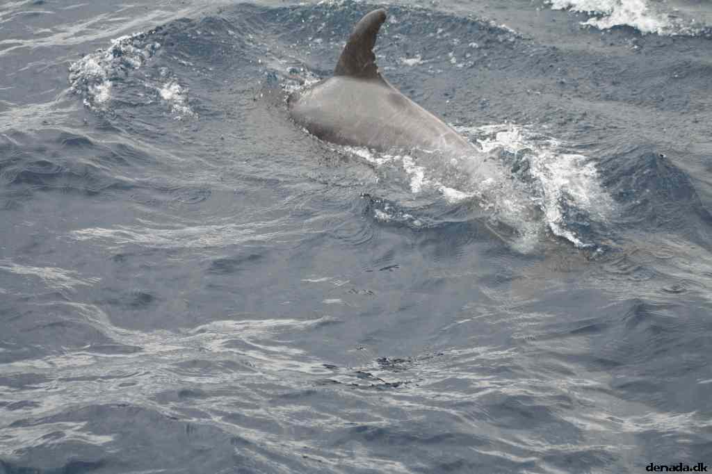 * Image 103