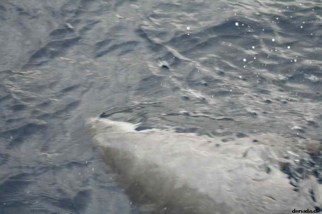 * Image 108