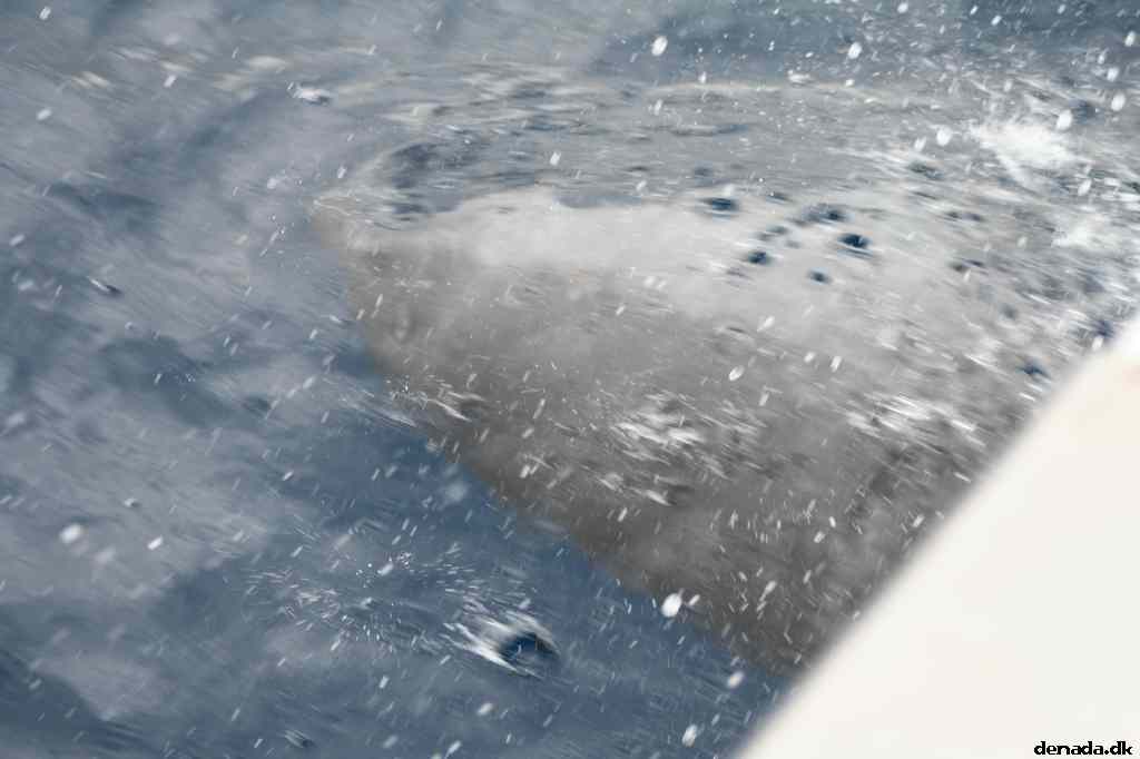 * Image 110