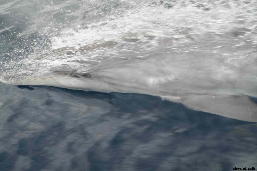 * Image 116