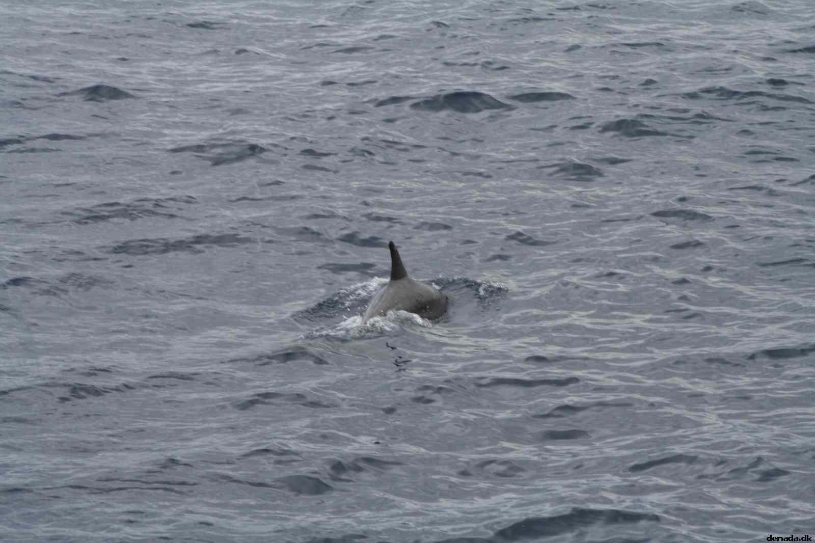 * Image 91
