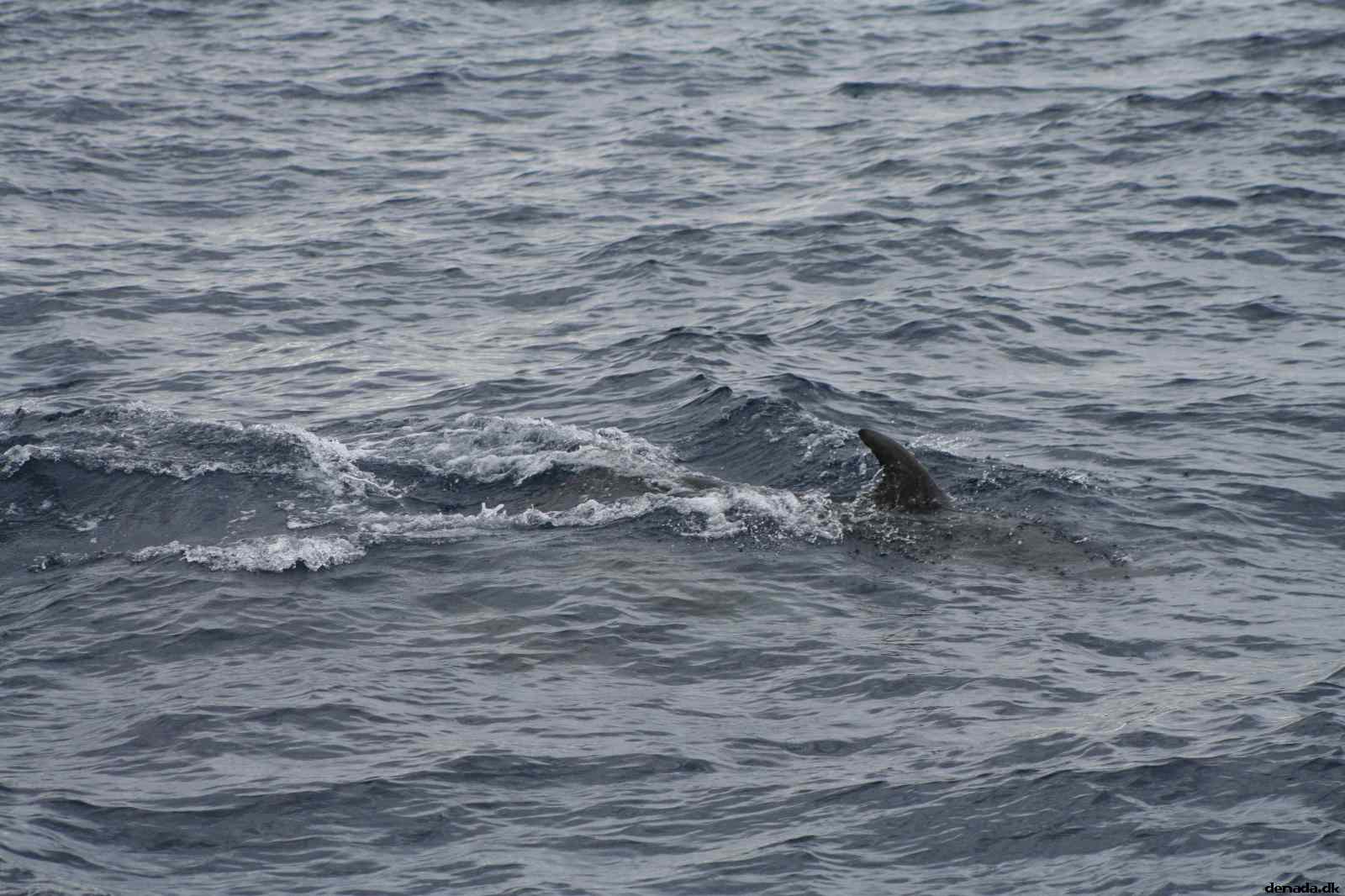 * Image 92