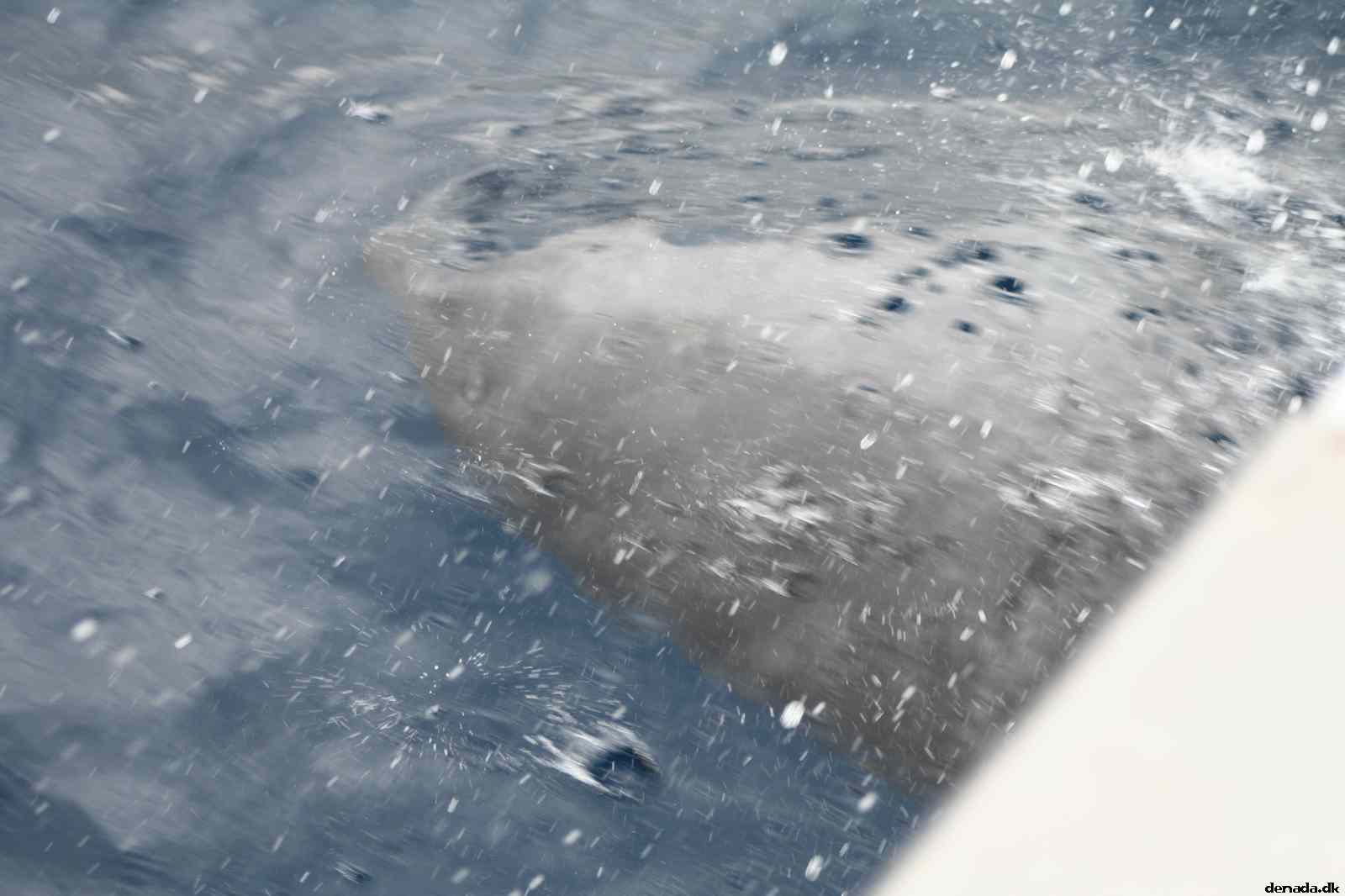 * Image 110