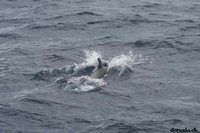 * Image 87