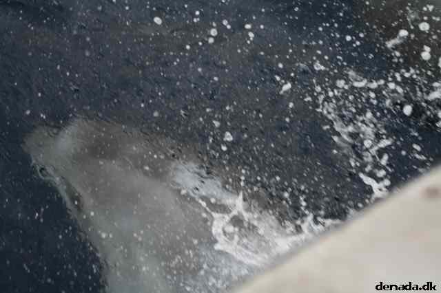 * Image 107