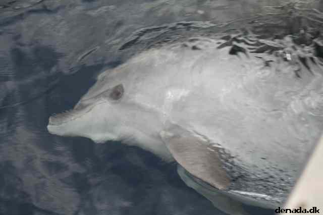 * Image 117