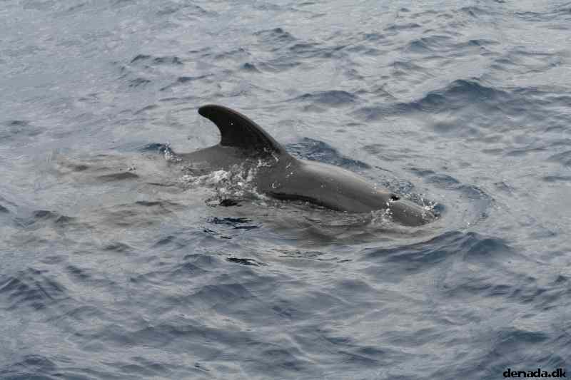 * Image 67