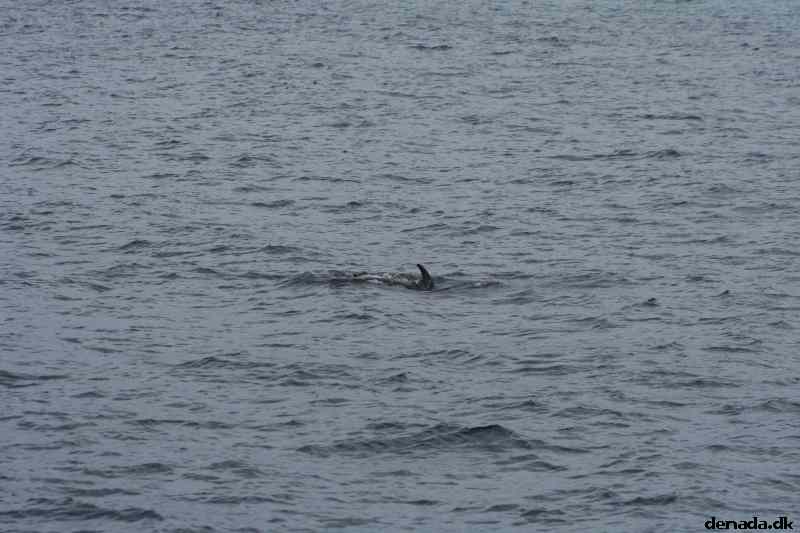 * Image 93