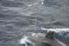 Tenerife_553.jpg - 2007:01:26 17:54:17