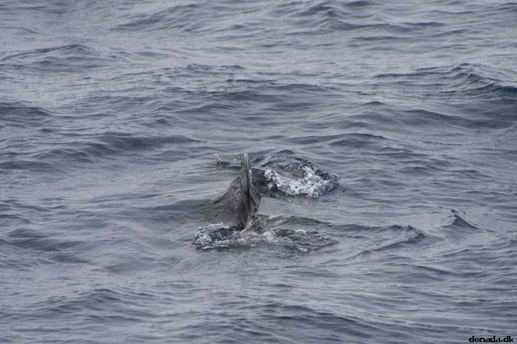 * Image 470