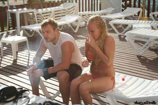 * Image 146