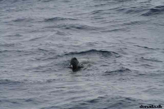 * Image 476