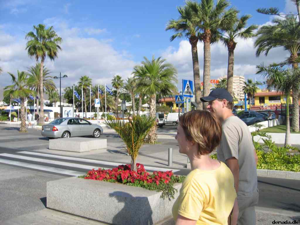 * Image 47