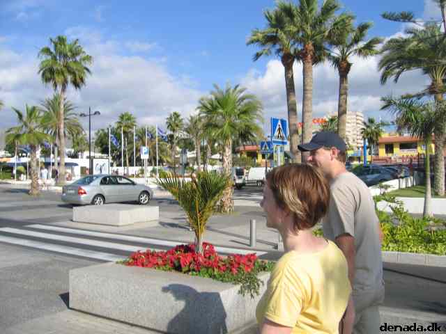 * Image 47