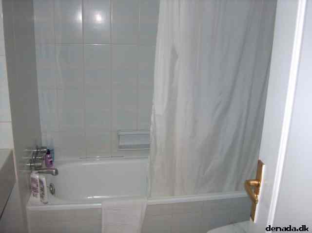 * Image 12