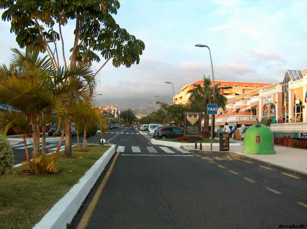 * Image 3