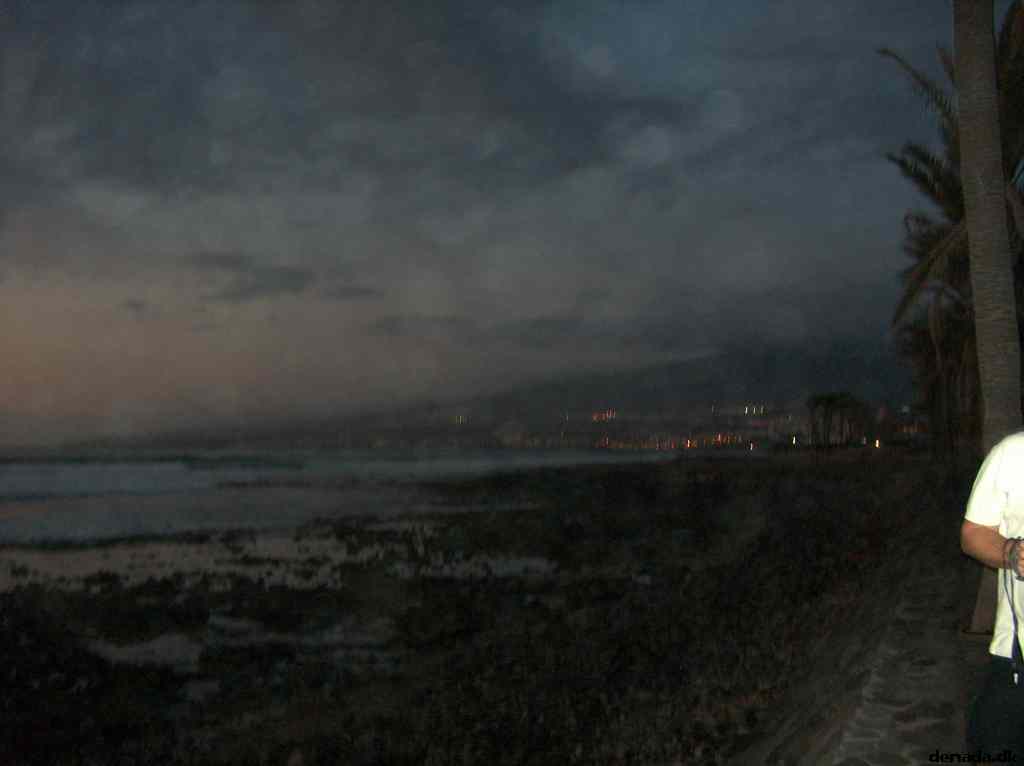 * Image 12