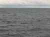 043.jpg - 2006:01:27 14:40:31