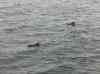 049.jpg - 2006:01:27 14:45:46