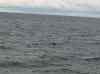 050.jpg - 2006:01:27 14:40:13
