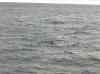 051.jpg - 2006:01:27 14:40:21