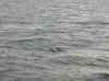 052.jpg - 2006:01:27 14:40:44