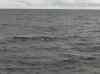 057.jpg - 2006:01:27 14:39:58