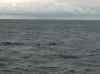 059.jpg - 2006:01:27 14:40:05