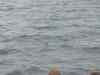 041.jpg - 2006:01:27 14:40:53