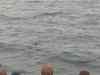 042.jpg - 2006:01:27 14:41:14