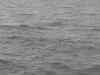 044.jpg - 2006:01:27 14:41:21