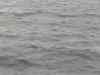 047.jpg - 2006:01:27 14:41:08