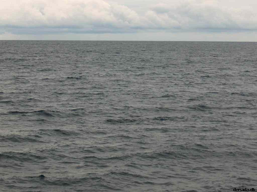 * Image 31