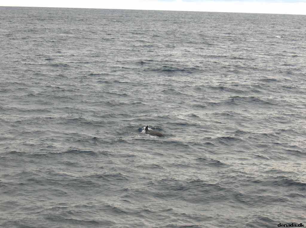 * Image 39