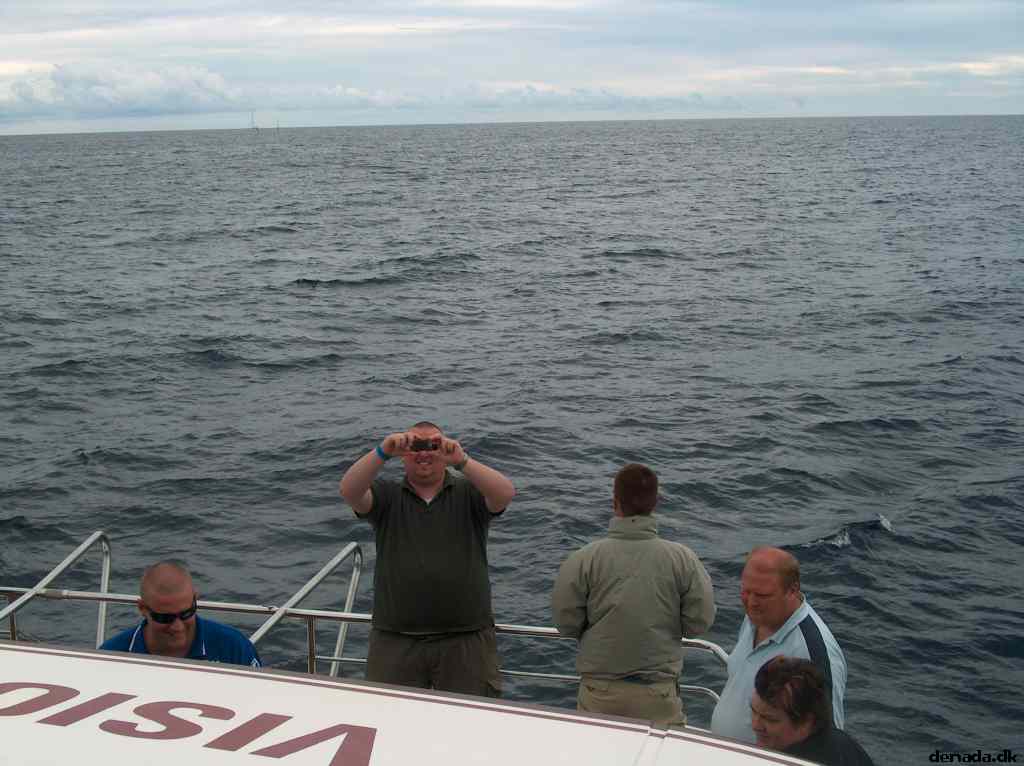 * Image 15
